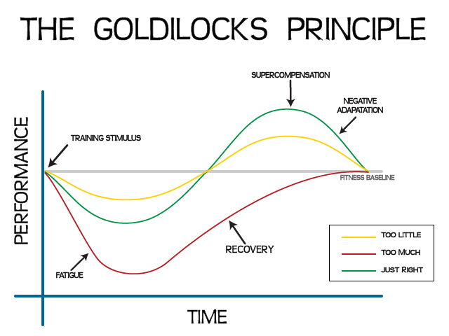 The Goldilocks Principle of Stress and Anxiety