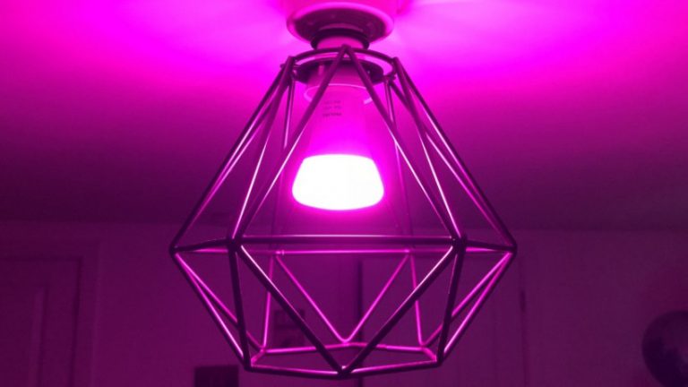 The best Philips Hue Labs and how to use them