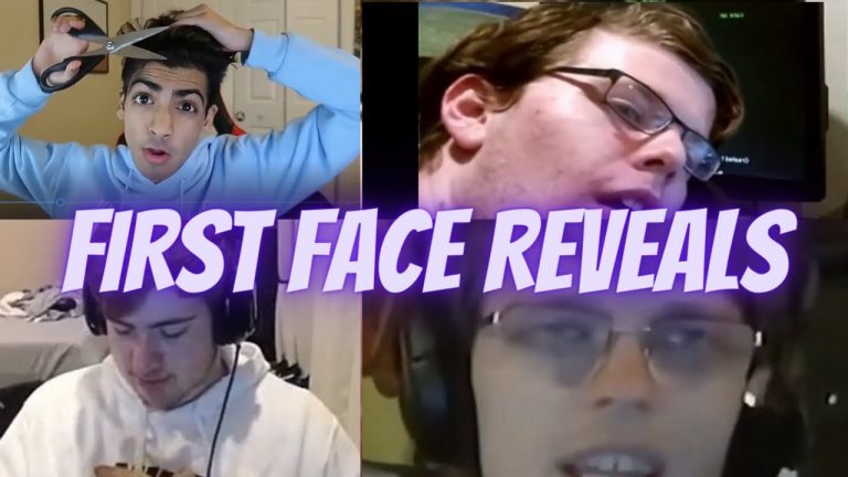The Real Minecraft Hero Technoblade Face Reveal