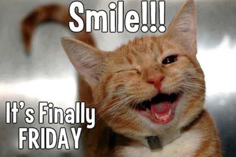 Friday Meme: Share Your Thoughts and Get a Laugh