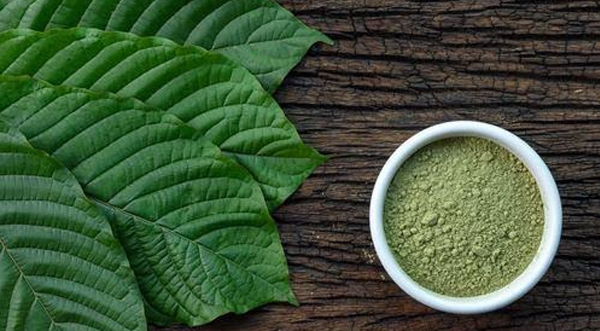 Does Green Malay Kratom offer a balance of energy and relaxation?