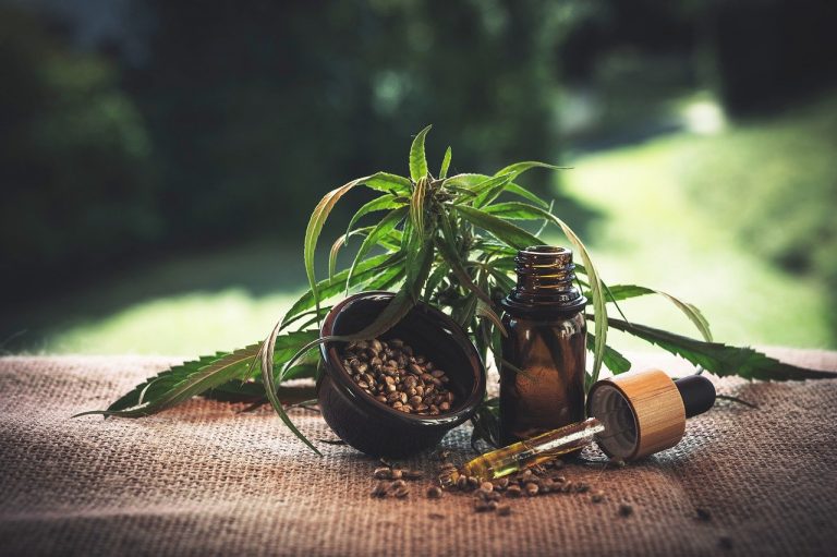 Buy weed online: Beginners Guide
